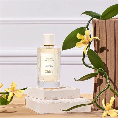 atelier des fleurs vanilla planifolia chloe